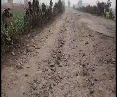 Reporter Stories: মালদার হরিশ্চন্দ্রপুরে মস্তান মোড় থেকে ভাটল পর্যন্ত রাস্তার বেহাল দশা, স্থানীয়দের ক্ষোভ