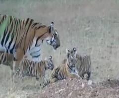 Rural News | माझं गाव माझा जिल्हा | गावाकडच्या बातम्यांचा वेगवान आढावा | ABP Majha 