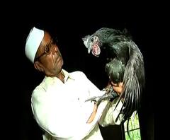 Kadaknath Chicken Scam | कडकनाथ कोंबडी घोटाळाप्रकरणी चौकशीसाठी विधानभवनावर मोर्चा | ABP MAJHA
