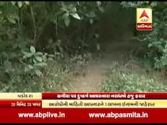 પોલીસ નિષ્ફળઃ વડોદરામાં સગીરા પર દુષ્કર્મ આચરનારા નરાધમો હજુ પણ પોલીસ પકડથી બહાર, નવા સ્ક્રેચ રજૂ કરાયા