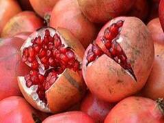 કચ્છઃ માંડવીમાં માવઠું પડતા દાડમના પાકને મોટું નુકસાન, જુઓ વીડિયો 