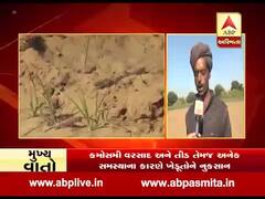 બનાસકાંઠામાં તીડનું આક્રમણઃ ખેડૂતોએ પાક નુકસાન મુદ્દે શું કહ્યું? જુઓ વીડિયો