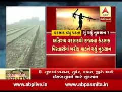 રાજકોટઃ કમોસમી વરસાદે ખેડૂતોના કયા-કયા પાક પર પાણી ફેરવી દીધુ, જાણો ખેડૂતોના મોઢે........