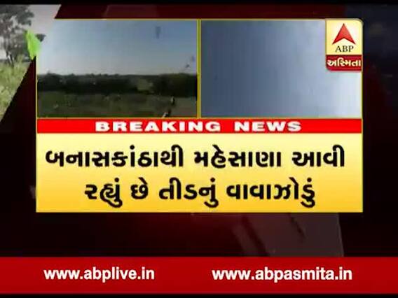 બનાસકાંઠામાં ખેતી પાયમાલ કર્યા બાદ હવે તીડનુ ઝૂંડ મહેસાણા પહોંચ્યુ, જુઓ વીડિયો