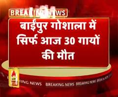 गोवंशों की मौत पर एक्शन में आए डीएम-अधिकारी