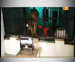 উত্তরপ্রদেশে প্রবল শৈত্যপ্রবাহ: চিড়িয়াখানায় ঠান্ডায় কাঁপছে পশুরা, খাঁচার বাইরে বসানো হয়েছে হিটার