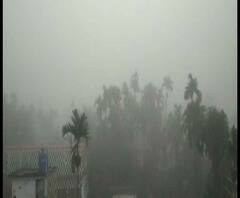 আজ কলকাতার তাপমাত্রা ১১.৬ ডিগ্রি, শনিবারও শীতল দিনের পূর্বাভাস