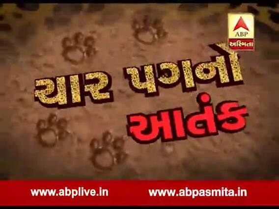 અસ્મિતા વિશેષઃ ચાર પગનો આતંક l ABP Asmita l l 08-12-2019