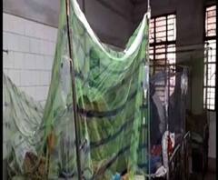 Reporter Stories: ১৫ দিনে উত্তর ২৪ পরগনায় ডেঙ্গি আক্রান্তের সংখ্যা দেড় হাজারেরও বেশি, মোট আক্রান্ত ১৯৫৩৯জন