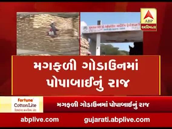 મુદ્દાની વાતઃ મગફળી ગોડાઉનમાં પોપાબાઈનું રાજ, જુઓ ખાસ અહેવાલ