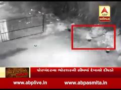 ગીર સોમનાથઃ ઉનાના રહેણાક વિસ્તારમાં દીપડાના આંટાફેરાથી લોકોમાં ભયનો માહોલ