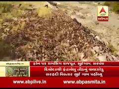 બનાસકાંઠા: પાકને તીડના વાવાઝોડાથી બચાવવા ખેડૂતો શું કરી રહ્યાં છે ઉપાય ? જુઓ વીડિયો 