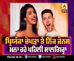 Priyanka Chopra and Nick jonas Celebrating their first Anniversary | Priyanka Chopra | Nick Jonas
