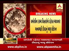 અમરેલીઃ માનવભક્ષી દીપડાનું મળી આવ્યું લોકેશન, વન વિભાગની ટીમ રવાના