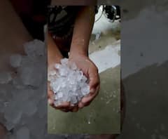Jalogaon Hailstorm | जळगावात वादळी वारा आणि गारपिटीने शेतकऱ्यांचं नुकसान | ABP Majha 