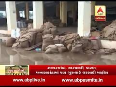 માવઠાથી ગીર સોમનાથ અને પોરબંદર માર્કેટ યાર્ડમાં હજારો ગુણી મગફળી પલળી ગઇ, જુઓ વીડિયો