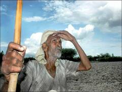 ગ્રામ પંચાયતોમાં સર્વર ડાઉન થતા ખેડૂતોને ખેતીમાં સહાયના ફોર્મ ભરવામાં મુશ્કેલી, જુઓ વીડિયો