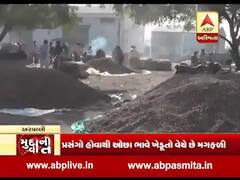 મુદ્દાની વાતઃ અમરેલીના ખેડૂતો કેમ ઓછા ભાવે મગફળી વેચવા થયા મજબૂર? જુઓ ખાસ અહેવાલ