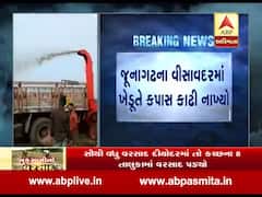 જુનાગઢઃ માવઠાથી ખેડૂતોની દશા બેઠી, 15 વિઘા કપાસ મશીન ફેરવીને કાંઢી નાંખ્યો, જુઓ વીડિયો