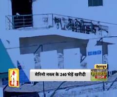 देवभूमि में भेड़ पालन को बढ़ावा