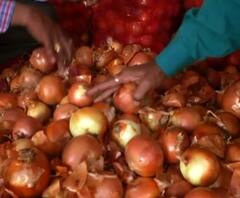 TOP 50 | गल्ली ते दिल्ली महत्त्वाच्या बातम्यांचा संक्षिप्त आढावा | बातम्यांचं अर्धशतक | ABP Majha