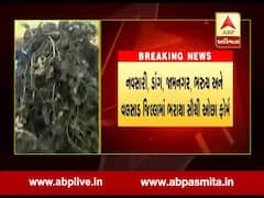 સરકારે ખેડૂતો માટે જાહેર કરેલા રાહત પેકેજ માટે ફોર્મ ભરાવવાના શરૂ, ક્યાં કેટલા ભરાયા ફોર્મ?