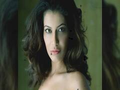 Bollywood अभिनेत्री Payal Rohatgi को जेल, जानिए क्या है पूरा मामला