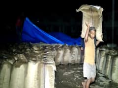 જૂનાગઢમાં કમોસમી વરસાદઃ માર્કેટિંગ યાર્ડમાં ટેકાના ભાવે ખરીદાયેલી મગફળી પલળી ગઈ, જુઓ વીડિયો