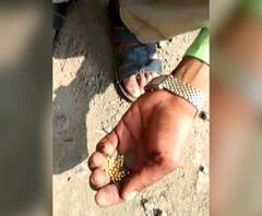 Special Report | लॉटरी लागली आणि पावसात भिजली राव! सोनं सापडलं, बेन्टेक्स निघाल | परभणी | ABP Majha