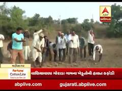 મુદ્દાની વાતઃ આને કહેવાય દીવા તળે અંધારું, જુઓ ખાસ અહેવાલ