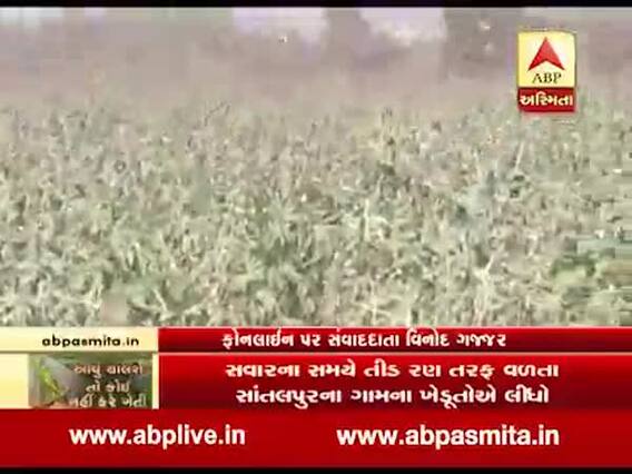 પાટણઃ છેવાડાના ગામોમાં તીડનો ખતરો ટળ્યો, જુઓ વીડિયો