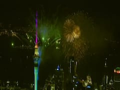 Glimpses of spectacular New Year celebration from New Zealand's Auckland