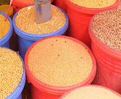 Dal Rate | कांद्यापाठोपाठ डाळींच्या दरामध्येही वाढ | ABP Majha 