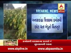 બનાસકાંઠામાં વાતાવરણ પલટાતા અનેક ગામોમાં કમોસમી વરસાદ, પાક બગડવાની ભીતિ, જુઓ વીડિયો 