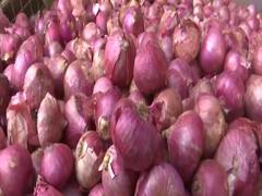 प्याज की बढ़ती कीमतों पर वित्तमंत्री का लोकसभा में जवाब