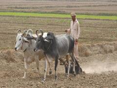 MP govt comes in action, promises to solve urea shortage and bust suppliers of fake seeds 