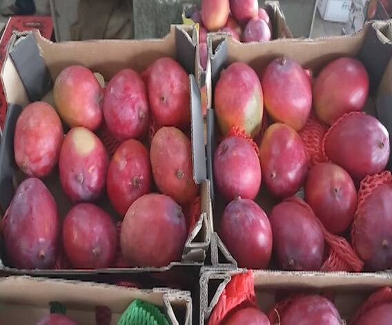 TOP 50 | गल्ली ते दिल्ली महत्त्वाच्या बातम्यांचा संक्षिप्त आढावा | बातम्यांचं अर्धशतक | ABP Majha