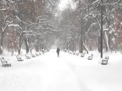 America में भारी बर्फबारी, New York में जमी 10 से 20 इंच मोटी बर्फ की परत