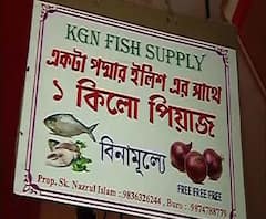 Reporter Stories: ইলিশ কিনলেই বিনামূল্যে মিলছে পেঁয়াজ! অবাক করা অফার টালিগঞ্জের বাজারে