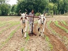 મુદ્દાની વાતઃ કેમ રાજકોટના સરધારના ખેડૂતે કેમ આપી આત્મવિલોપનની ચિમકી? જુઓ વીડિયો