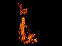 Delhi: Rehan, owner of building where fire broke out arrested