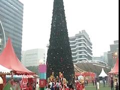 Mumbai: जियो गार्डन में बनाया गया प्लास्टिक का रिसाइकल क्रिसमस ट्री, 100 फीट ऊंचाई