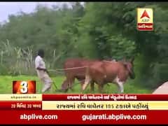 ગુજરાતમાં સફળ રીતે રવિ વાવેતર સંપન્ન, જુઓ વીડિયો