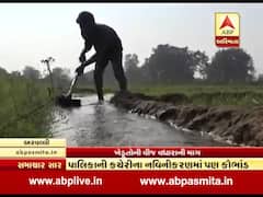 ખેતીની નવી સિઝન માટે ખેડૂતોએ સરકાર પાસે કરી 8ને બદલે 10 કલાક વીજળી આપવાની માંગ, જુઓ વીડિયો