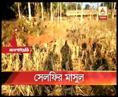 জলপাইগুড়ির নাগরাকাটায় বুনো হাতির আক্রমণে একজনের মৃত্যু, বন দফতরের বিরুদ্ধে উদাসীনতার অভিযোগ স্থানীয়দের