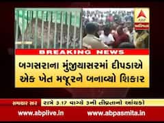 અમરેલીઃ સાવરકુંડલામાં દીપડાએ ખેત મજૂરને ફાડી ખાધો, લોકોમાં ભારે રોષ