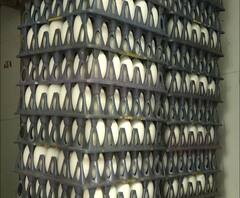 Eggs Rate Hike | थंडीचा कडाका वाढल्याने अंड्यांचे दर महागले, किरकोळ बाजारात डझनमागे 10 रुपयांची दरवाढ | ABP Majha 