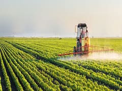 ખેતીમાં નુકસાની સહાયની ઓનલાઇન અરજીની મુદતમાં વધારો કરવા ખેડૂતોની માંગ, જુઓ વીડિયો