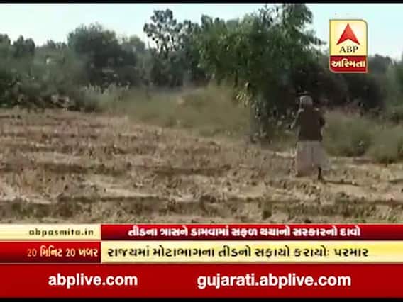 તીડનો સફાયોઃ 33 ટકાથી વધુ નુકશાન થયુ હશે ત્યાં ચૂકવાશે સહાય, જુઓ વીડિયો