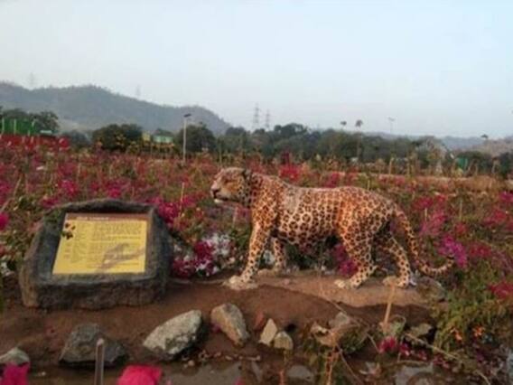 સીએમ રૂપાણીની હાજરીમાં યોજાઇ વાઇલ્ડ લાઇફની બેઠક, દીપડાના આતંકને કાબુ કરવા લેવાશે એક્શન, જુઓ વીડિયો